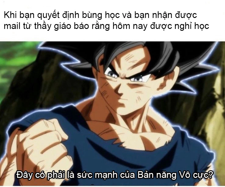 ảnh Goku meme 9