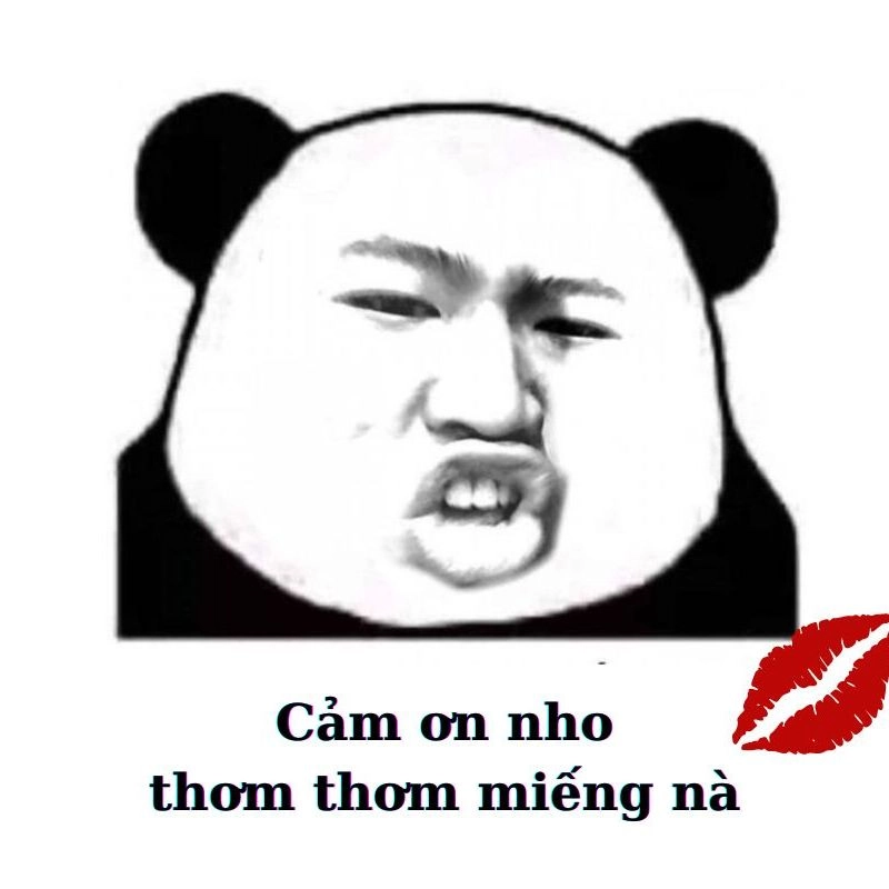 ảnh meme cảm ơn 7