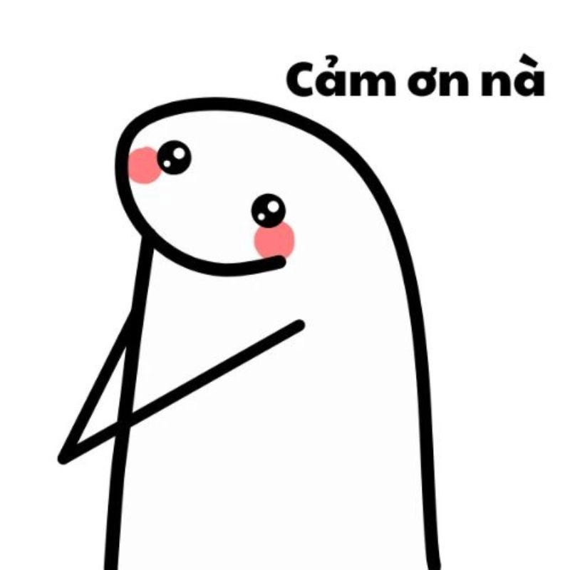 ảnh meme cảm ơn 9