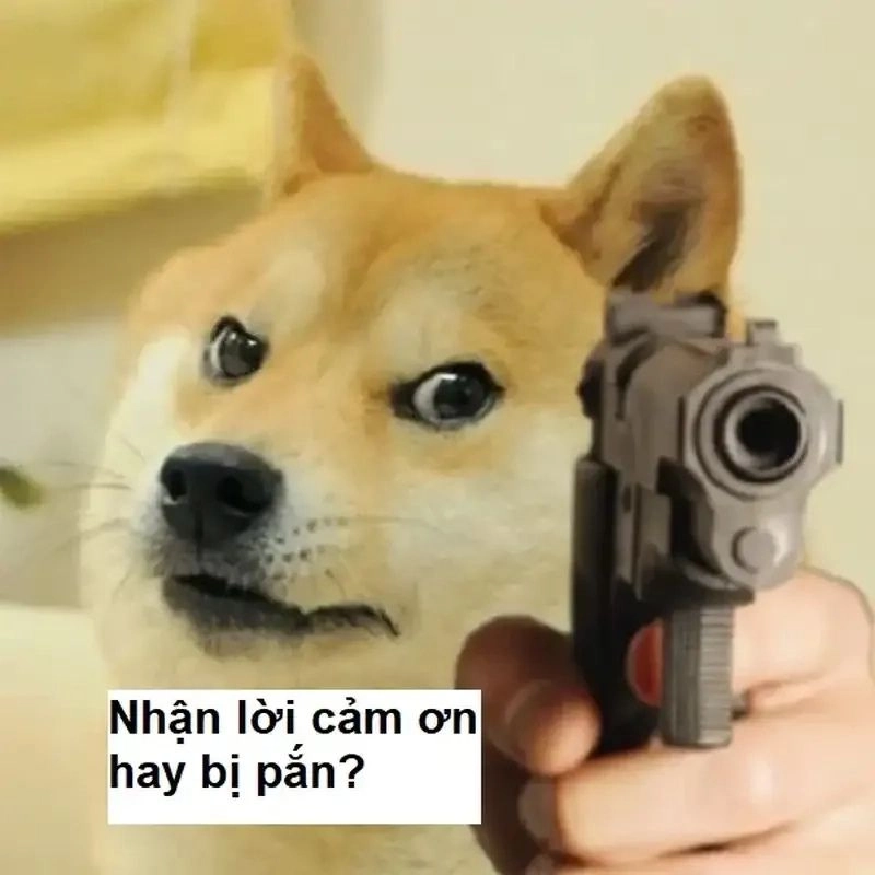 ảnh meme cảm ơn 11
