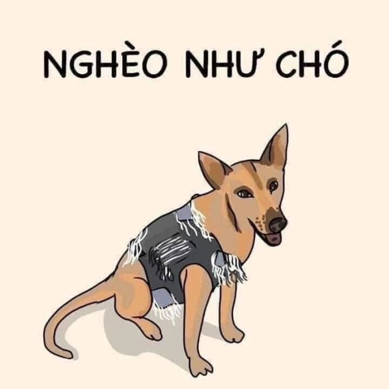 meme chó 22