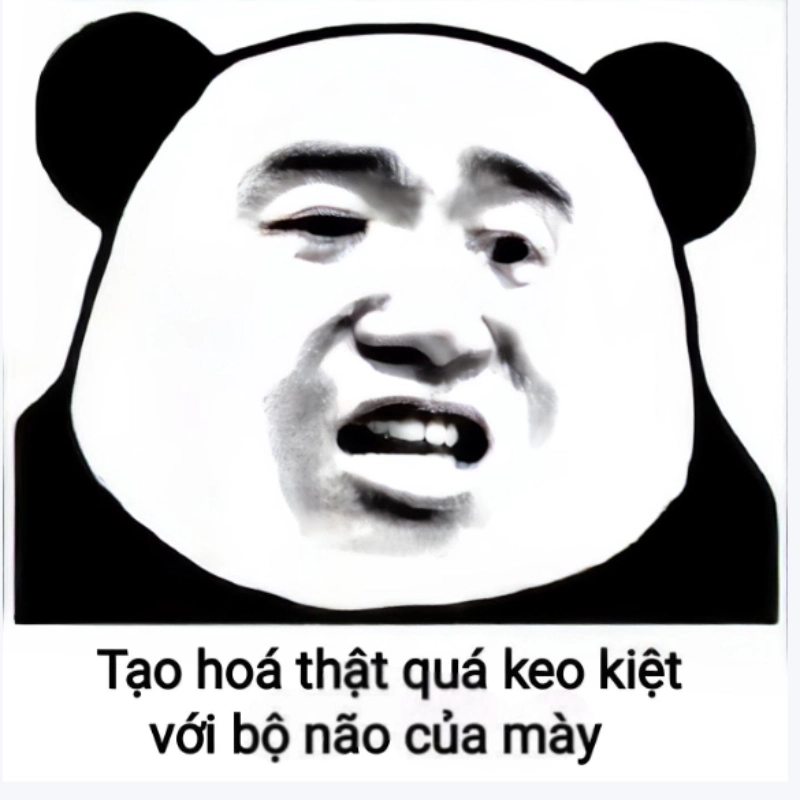 meme chửi 30