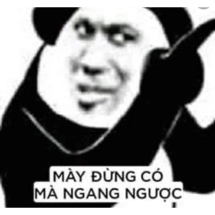 ảnh meme gấu 6