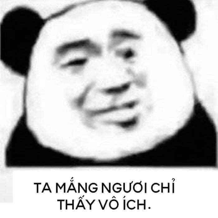 ảnh meme gấu 8