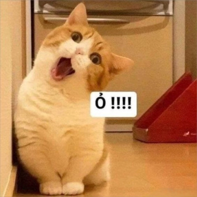 meme hài hước 10