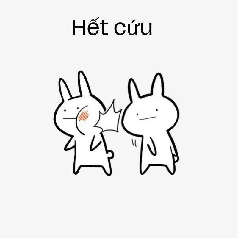 Ảnh meme hết cứu 7