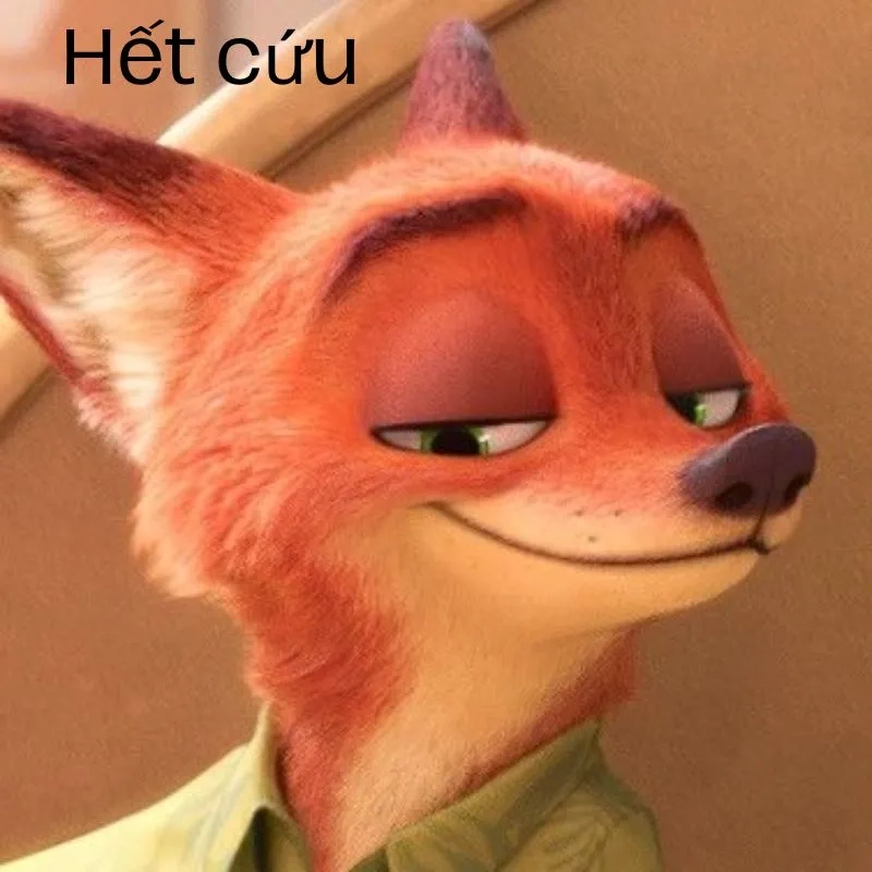 Ảnh meme hết cứu 10