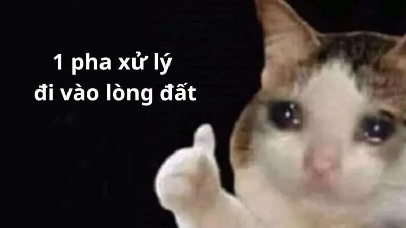 ảnh meme like 12