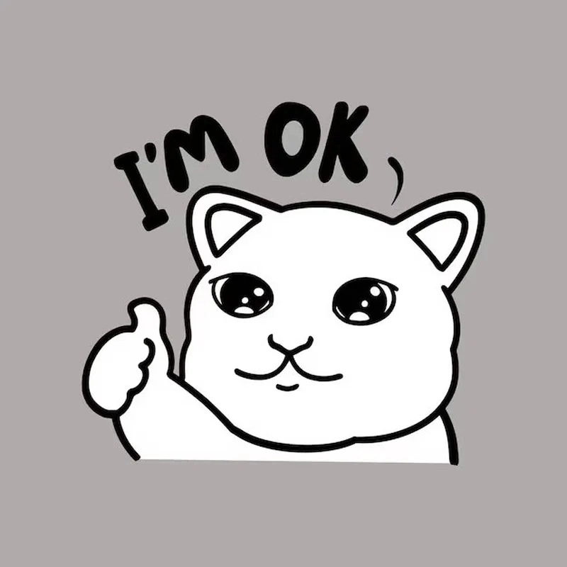meme OK 4