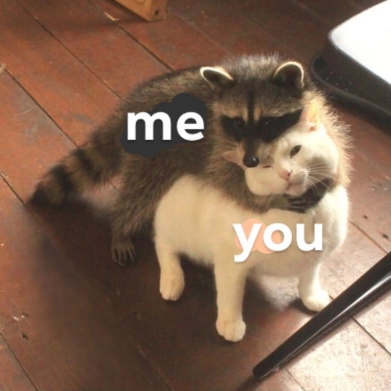 meme ôm 24