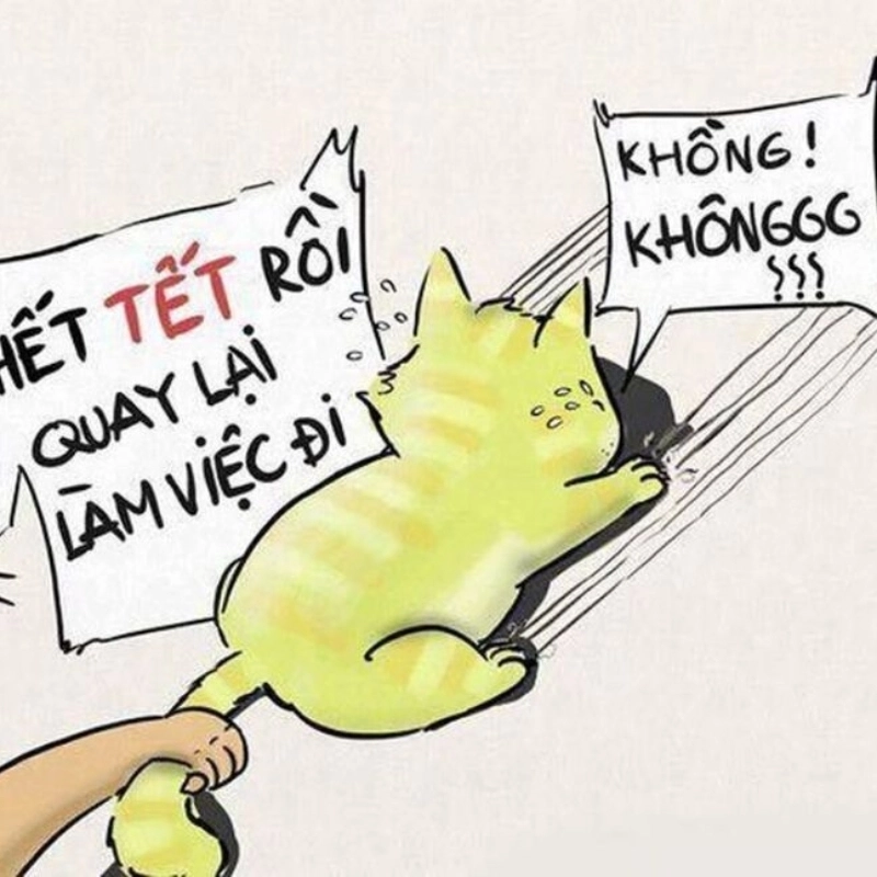 meme Tết vui nhộn 11
