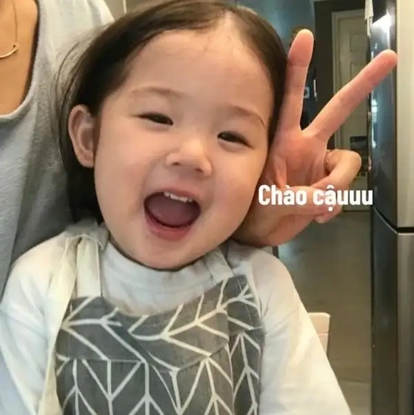 Ảnh meme xin chào 8