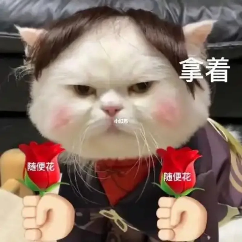 ảnh chế meme mèo bựa 22