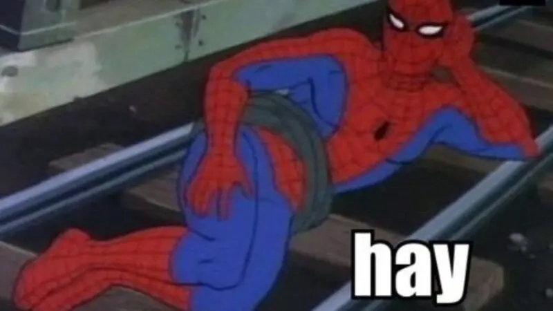 ảnh Spider Man meme 12