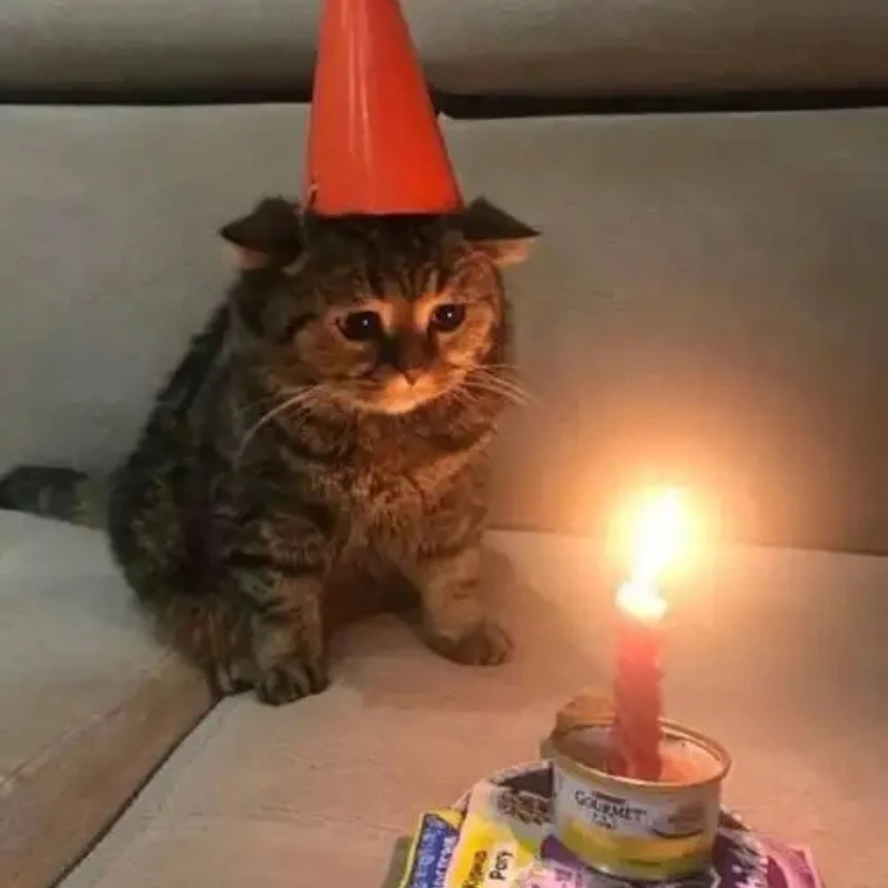 meme ảnh cute 46
