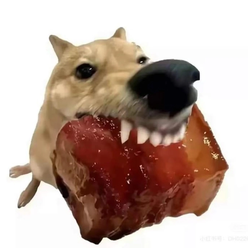 meme chó bựa 29