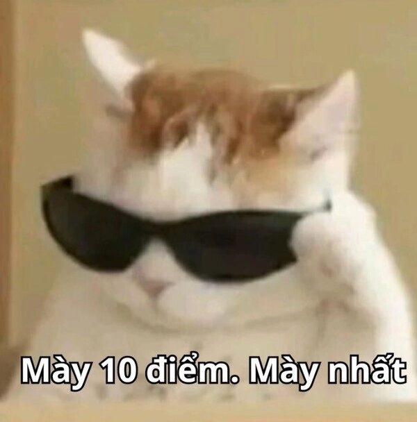 ảnh meme 10 điểm 9