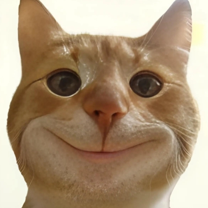 meme ảnh chế 3