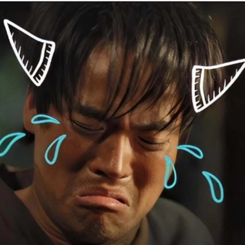 ảnh meme Tết 15