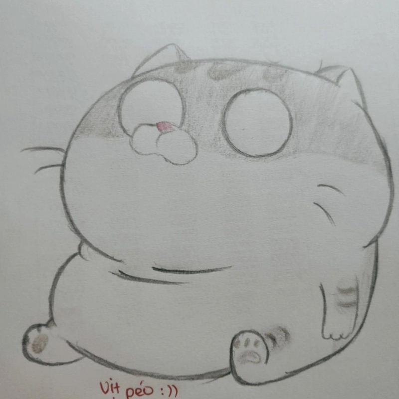 meme vẽ 23