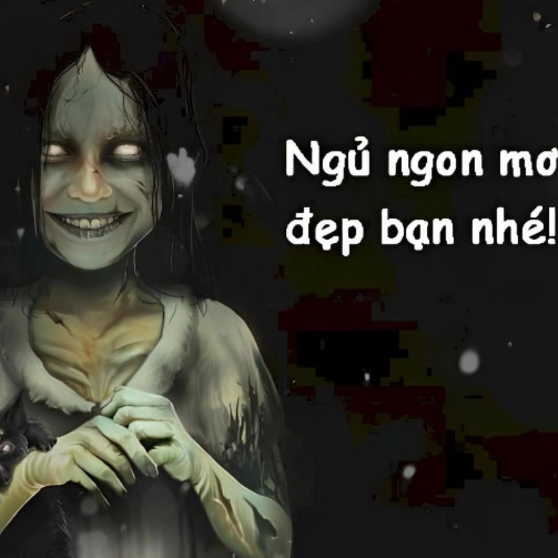 meme chúc ngủ ngon 21