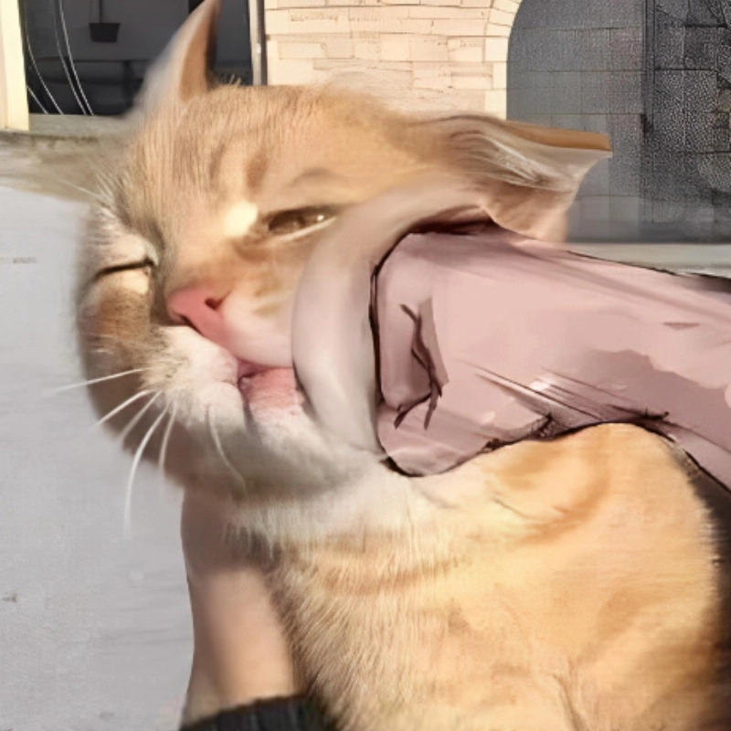 meme đánh nhau 21