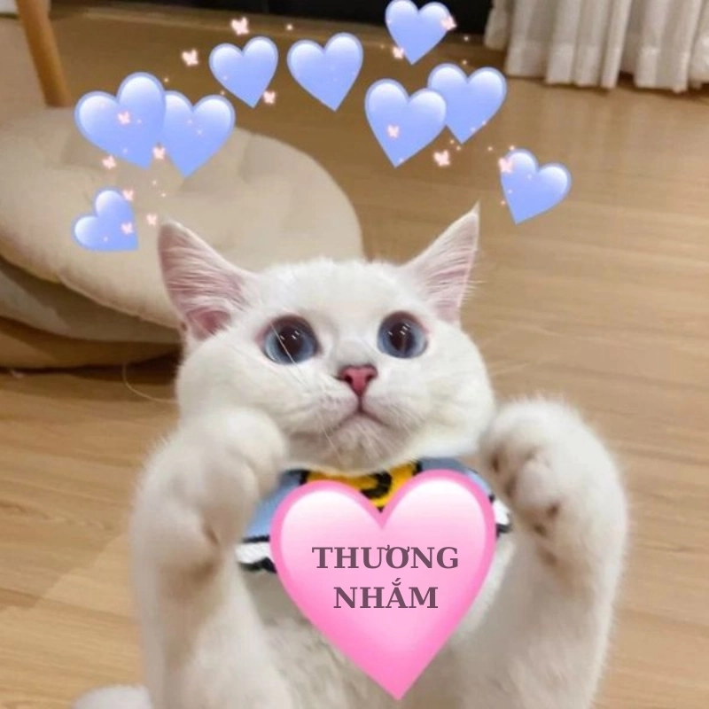 meme dễ thương 5