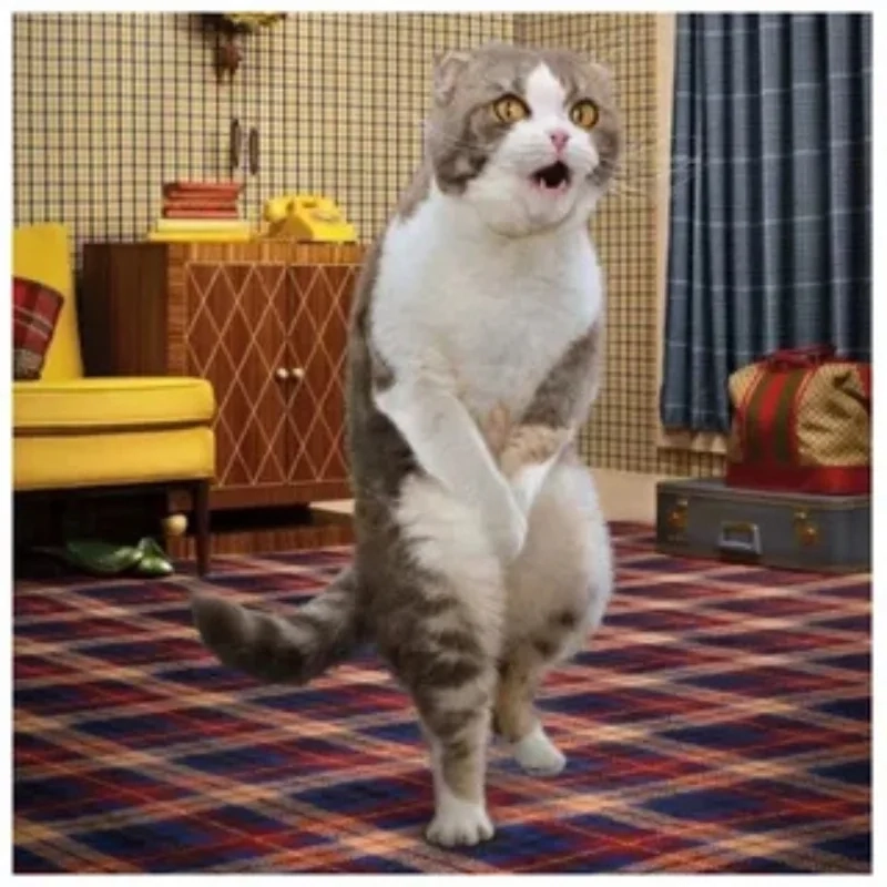 meme bựa chất 25