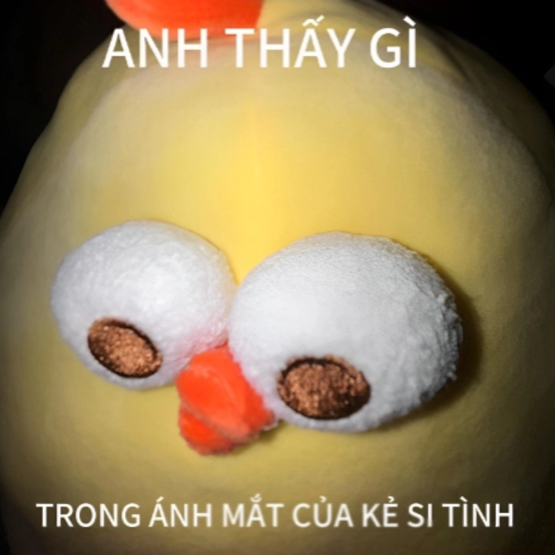 meme tình yêu 14