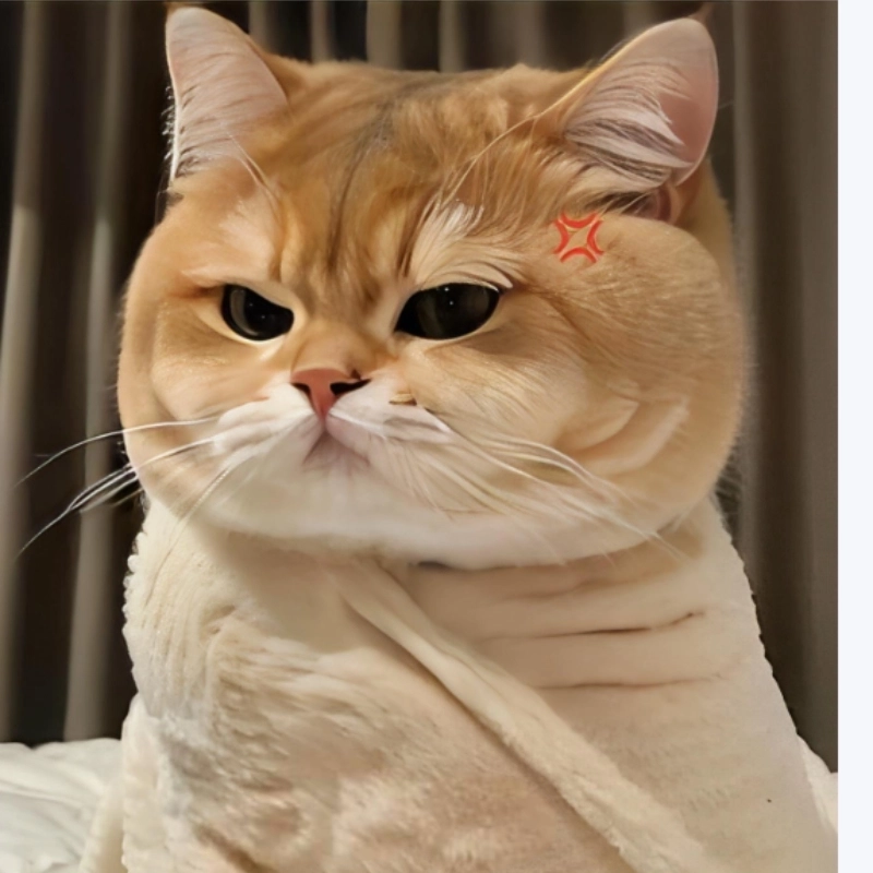 ảnh meme tức giận 5