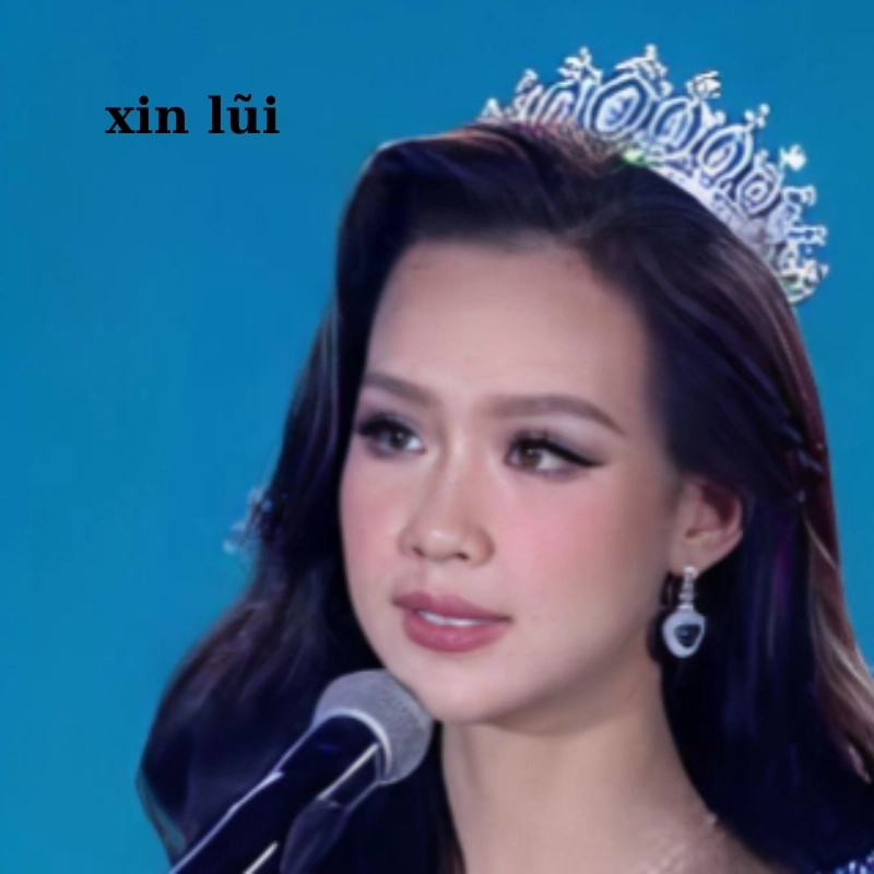 meme xin lỗi 17