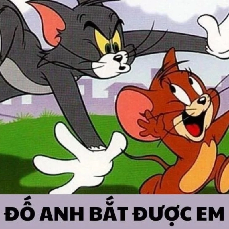 ảnh Meme Jerry 6