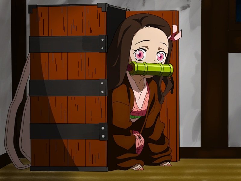 anime watch 14